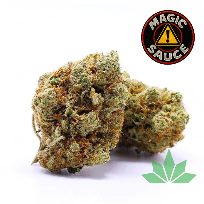 Gelato 37 5% MAGIC SAUCE