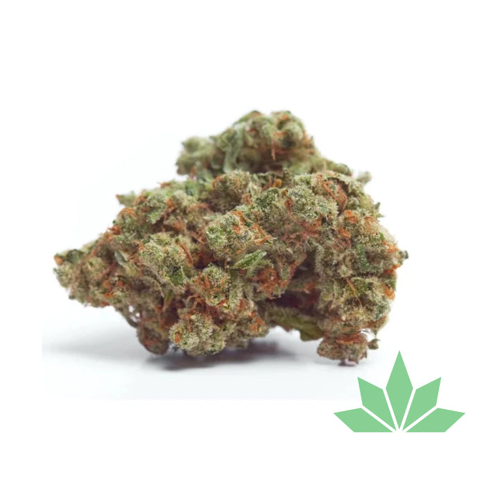 Growers Choice - Gorilla Cookies Fem 3St.