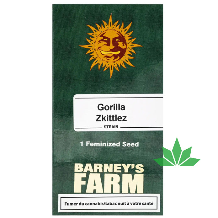 Barney's Farm -  GORILLA SKITTLEZ   - Feminsiert - 3 Seeds