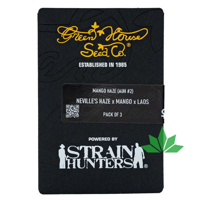 Green House Seed - MANGO HAZE aka ARJAN'S ULTRA HAZE 2 - Feminisiert - 3 Seeds