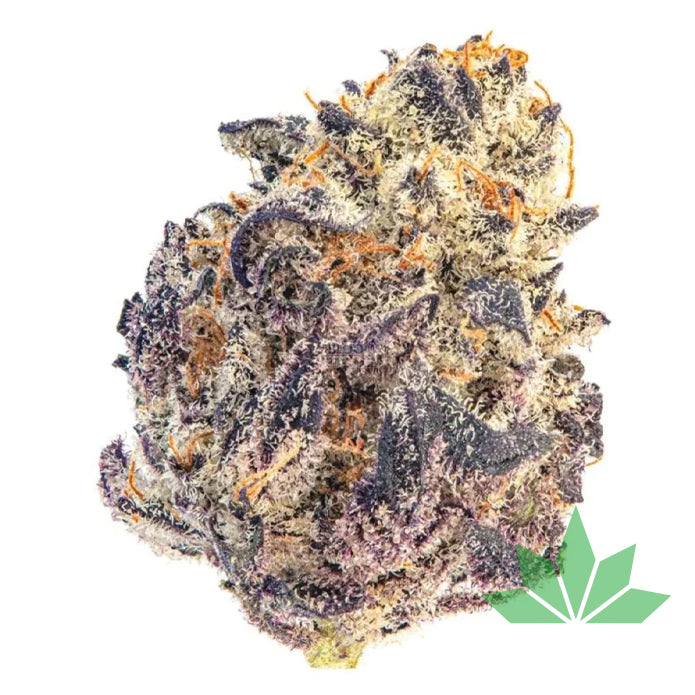 Growers Choice - Cherry MAC Muffin Fem 3St.