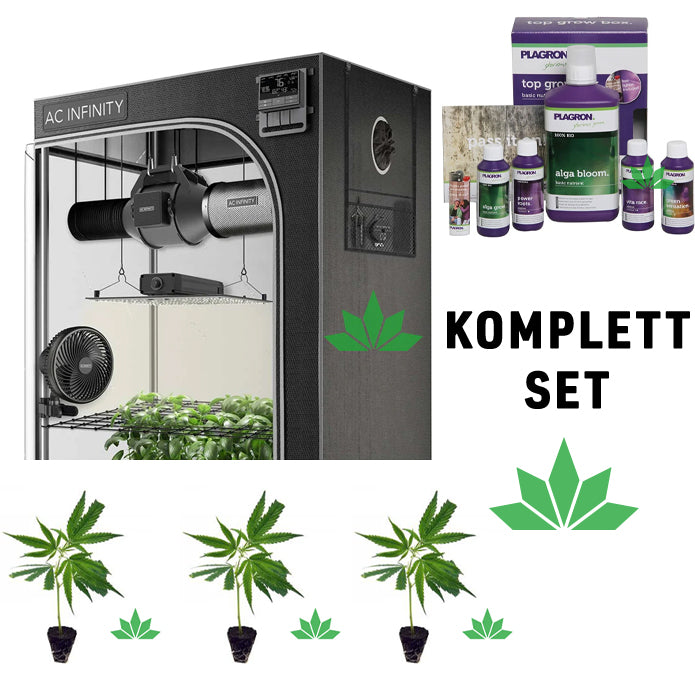 grow tent komplett Grow Set 60x60x180 Komplett + Inklusive Stecklinge & Dünger – Bonorum CBD
