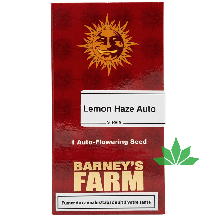 Barney's Farm - LEMON HAZE - Automatic- 3 Seeds