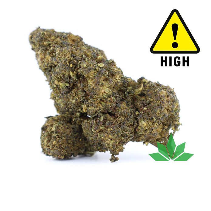 Lemon Kush - Blüte 10-OH