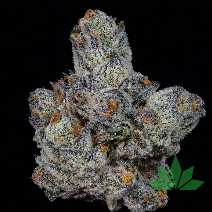 Wizard Trees - Lemon Fever Femi. 3.Stk – Ansicht 2