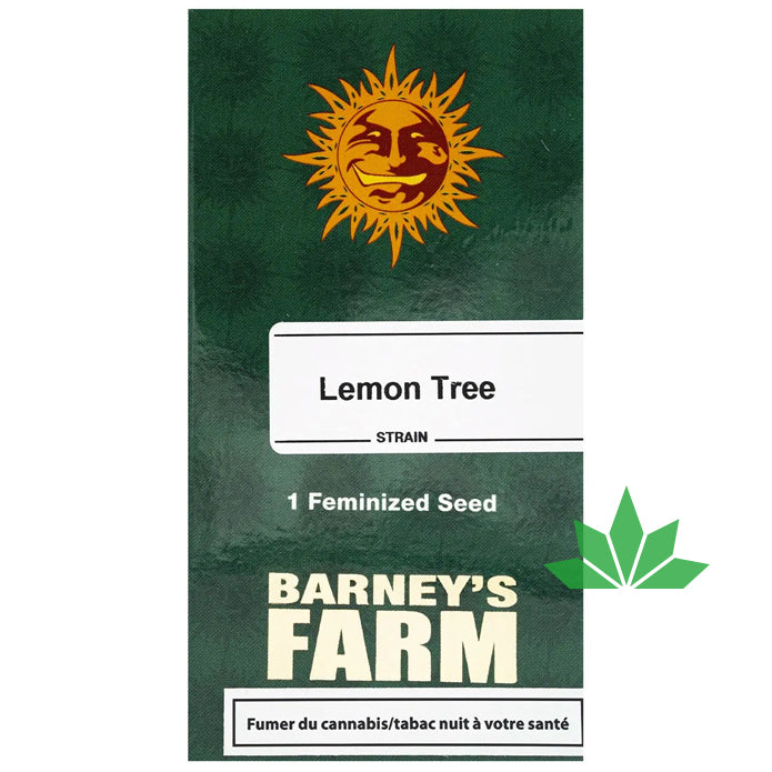 Barney's Farm - LEMON TREE  - Feminsiert - 3 Seeds