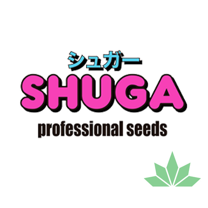 Shuga Seeds Umami