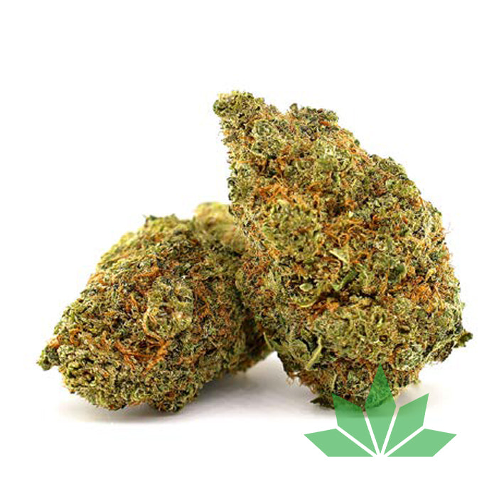 Northern Lights - 35% MAGIC SAUCE