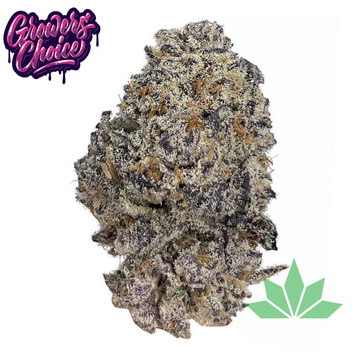 Growers Choice - Original Oreoz Fem 3.Stk – Ansicht 2