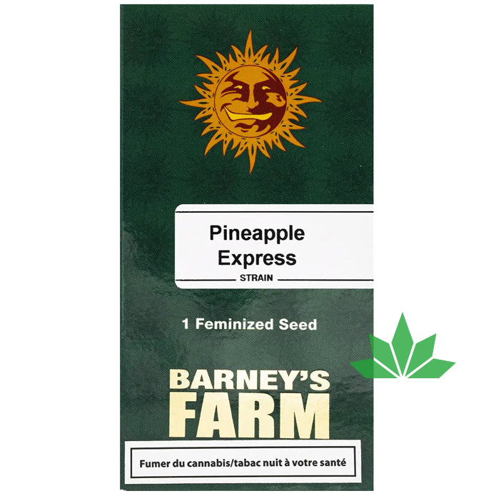 Barney's Farm - PINEAPPLE EXPRESS  - Feminsiert - 3 Seeds