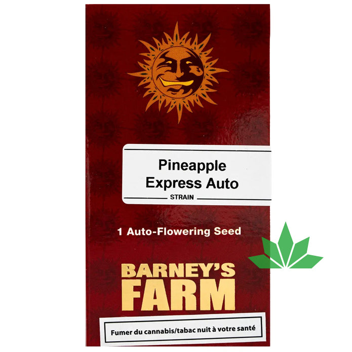 Barney's Farm - PINEAPPLE EXPRESS - Automatic - 3 Seeds