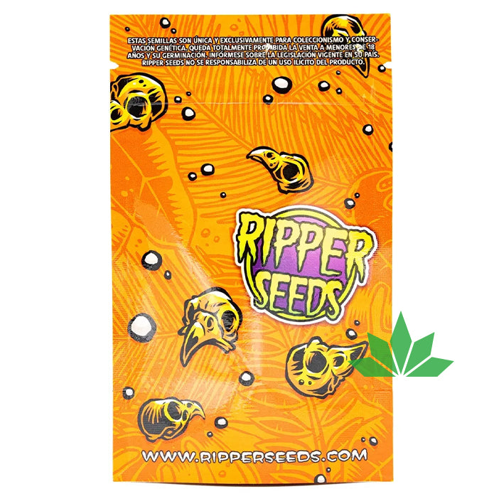 Ripper Seeds - RADICAL JUICE - Feminsiert 3 Seeds – Ansicht 2
