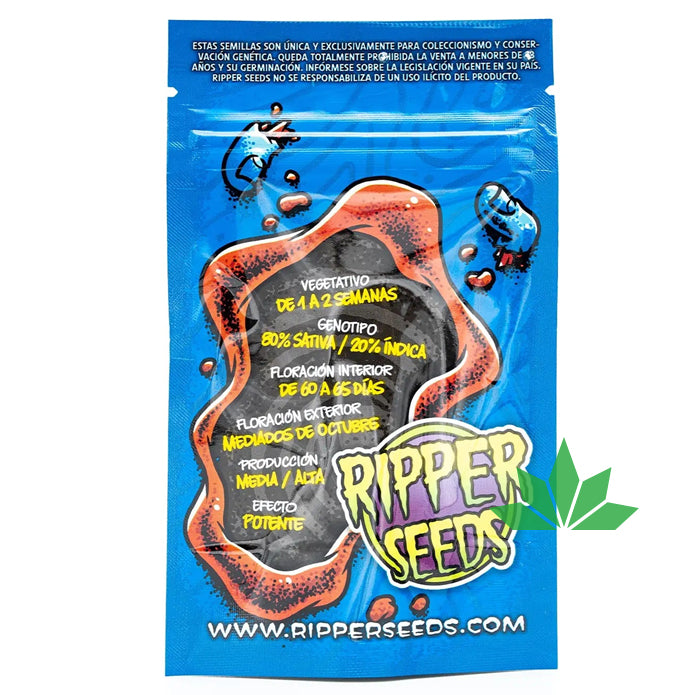 Ripper Ripper Seeds - RIPPER HAZE - Feminsiert 3 Seeds – Ansicht 2