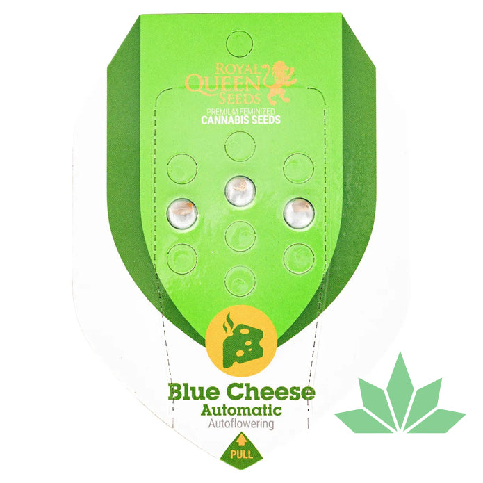 Royal Queen Seeds - BLUE CHEESE - Automatic - 3 Seeds