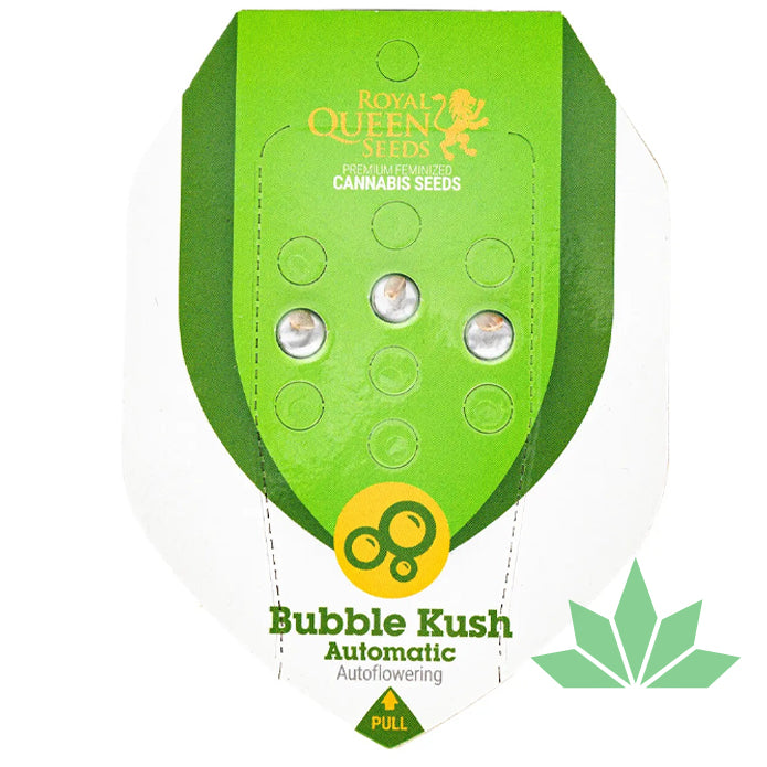 Royal Queen Seeds - BUBBLE KUSH - Automatic - 3 Seeds