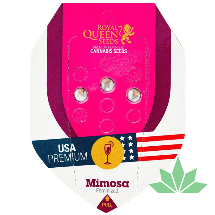 Royal Queen Seeds - MIMOSA - Feminsiert - 3
