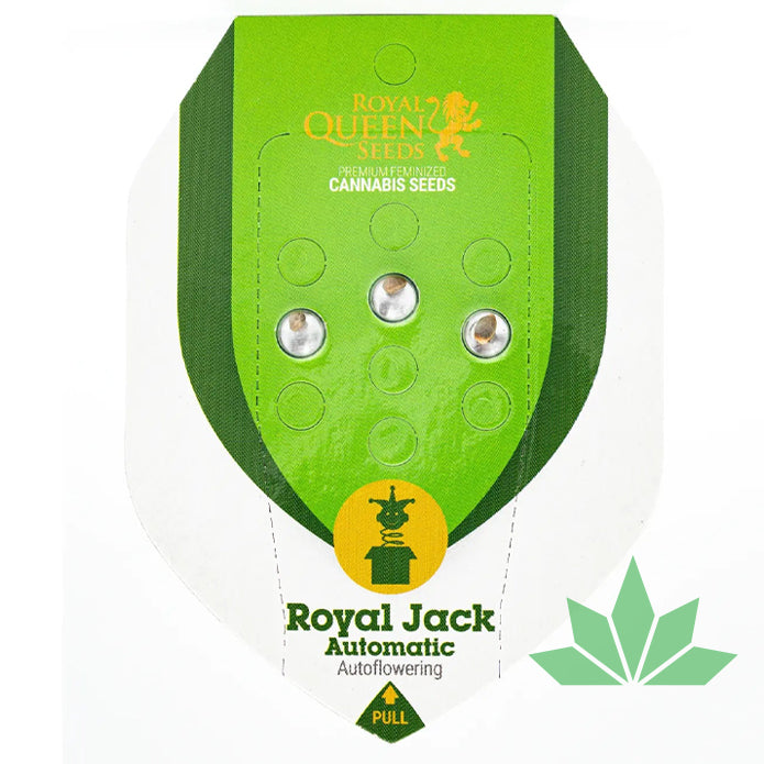 Royal Queen Seeds - ROYAL JACK - Automatic - 3 Seeds