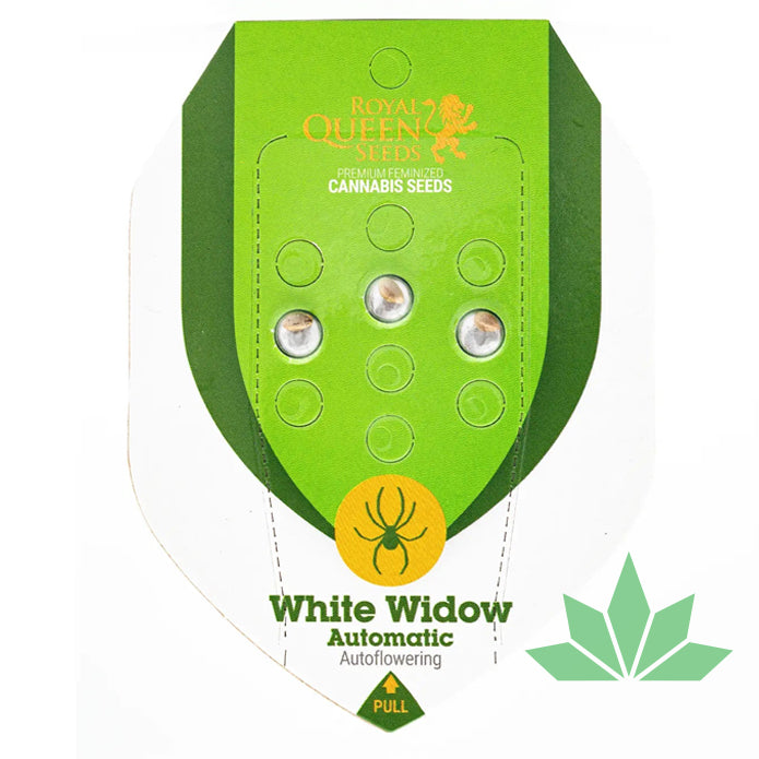 Royal Queen Seeds - WHITE WIDOW - Automatic - 3 Seeds