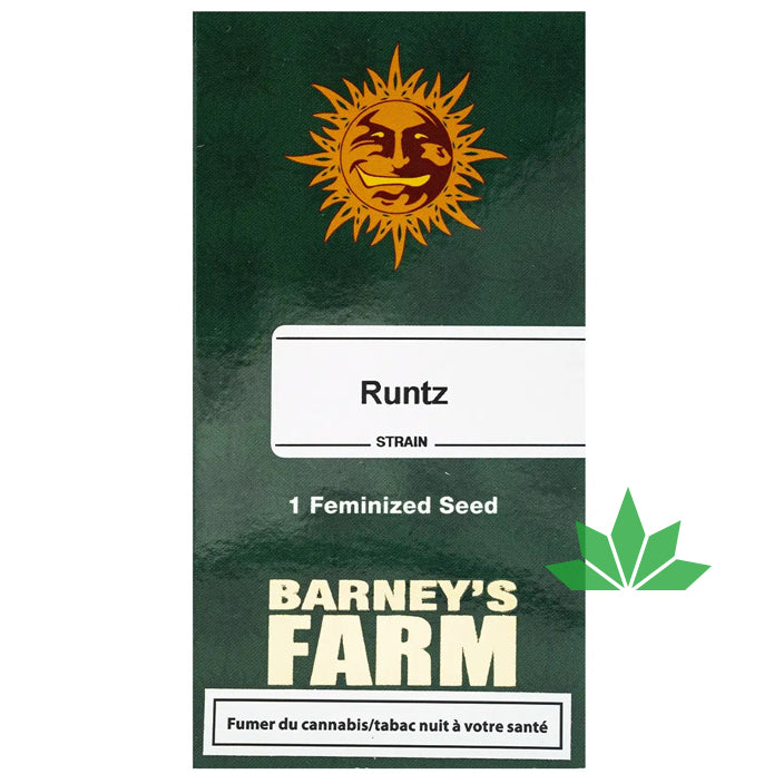 Barney's Farm -  RUNTZ   - Feminsiert - 3 Seeds
