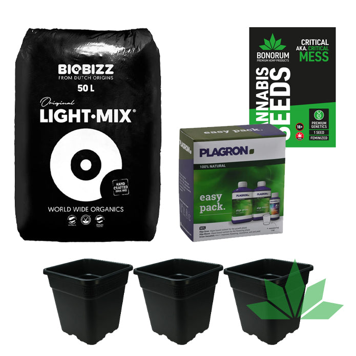 Sommer Outdoor Grow Deal - All you need! + 3 Seeds