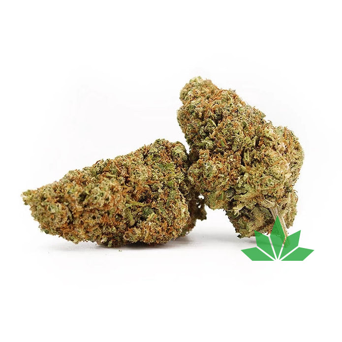 Sherbzooka Premium Blüte