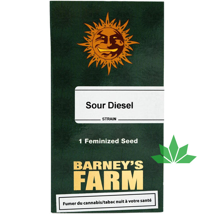 Barney's Farm - SOUR DIESEL  - Feminsiert - 3 Seeds