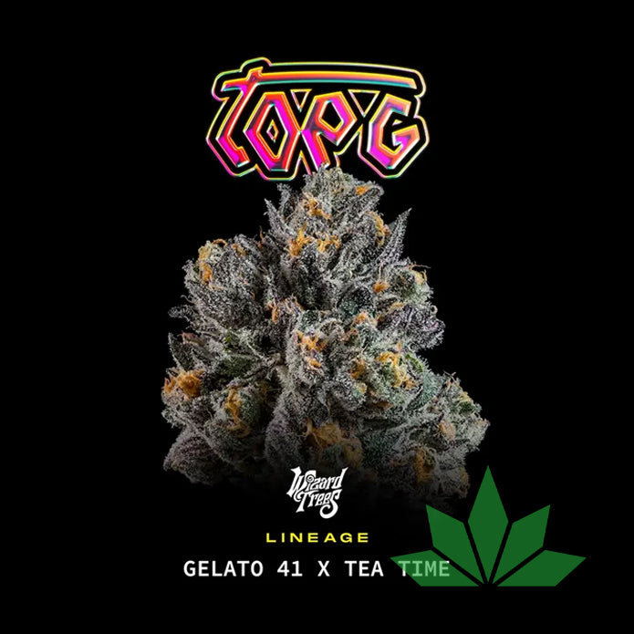 Wizard Trees – Top G | 3 Feminisierte Samen