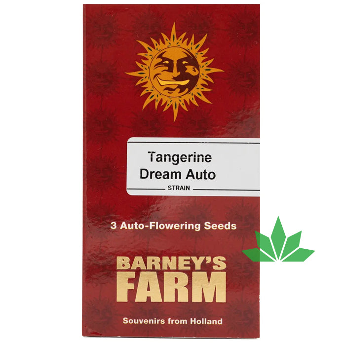 Barney's Farm - TANGERINE DREAM - Automatic- 3 Seeds