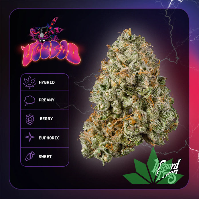 Voodoo Feminisiert (Wizard Trees) – Ansicht 2