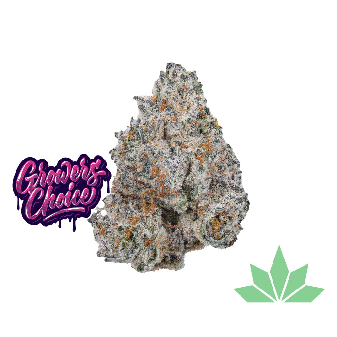 Growers Choice - White Truffle Limited Edition Fem 3.Stk – Ansicht 2