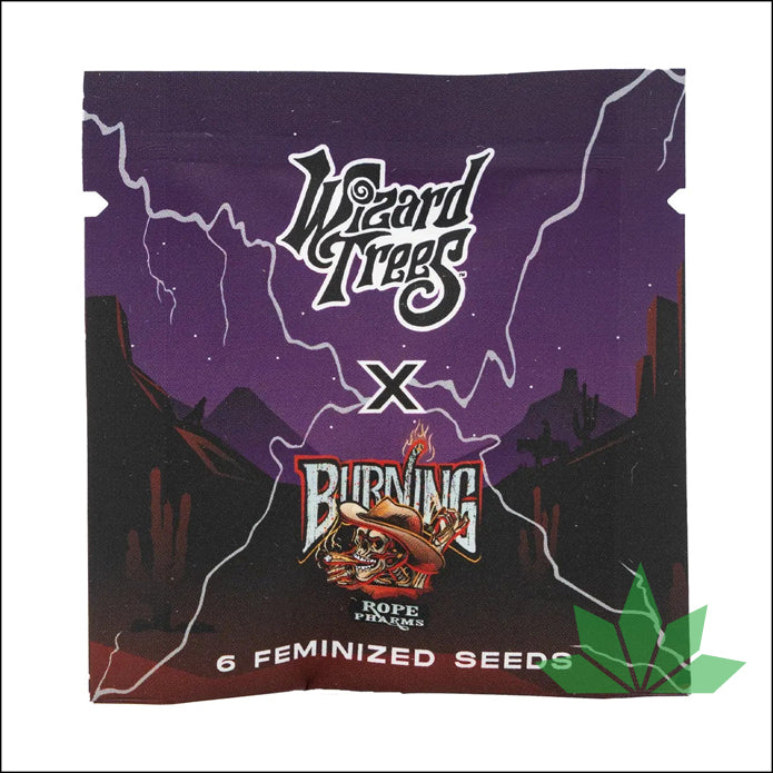 Wizard Trees - Windu - Feminsiert 6.Stk