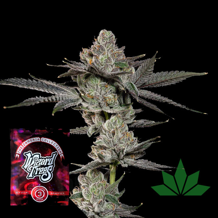Wizard Trees - Z Nerd´z Femi. 3.Stk