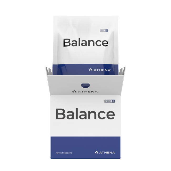 Athena Pro Balance 4,54 kg Box mit fünf Portionsbeuteln