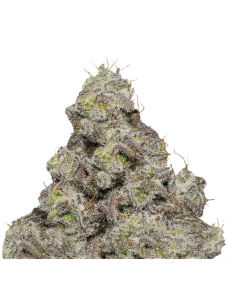 Blue Forest Berry