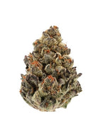 Bruce Banner III Auto