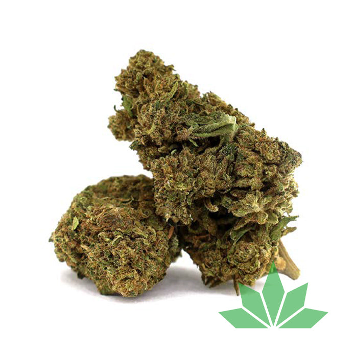 Alien Fuel - 70% MAGIC SAUCE