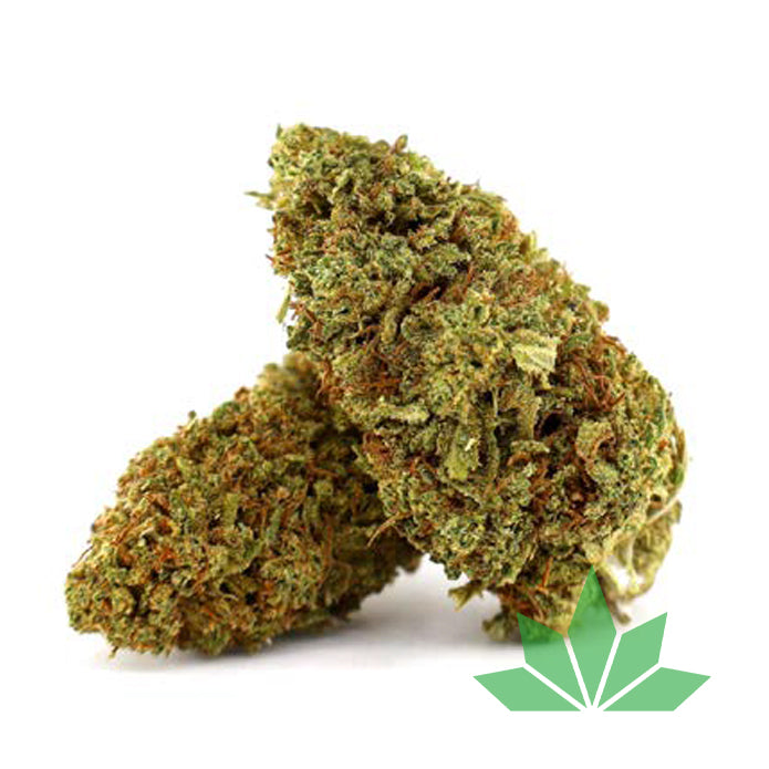 Tropical Punch - Blüte 10-OH