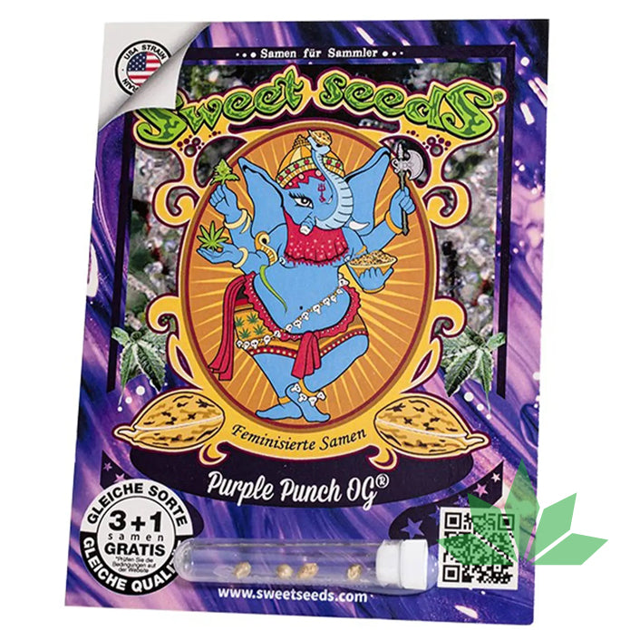 Sweet Seeds - PURPLE PUNCH OG - Feminized - 3+1 Seeds